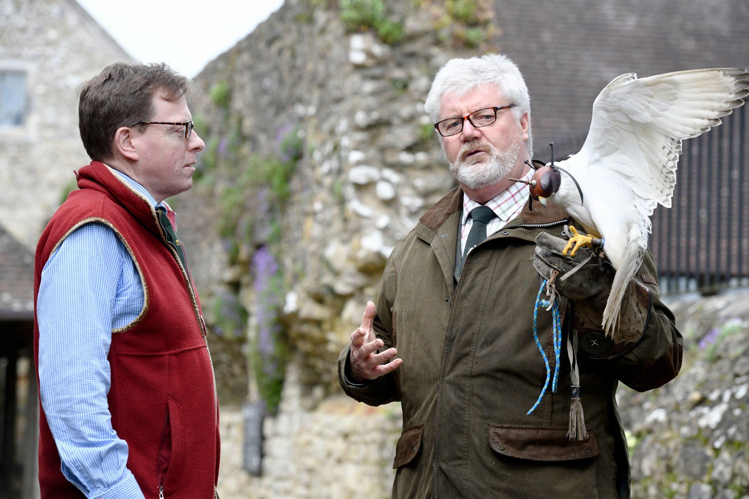 Thrings Meets… Paul Manning, Amews Falconry